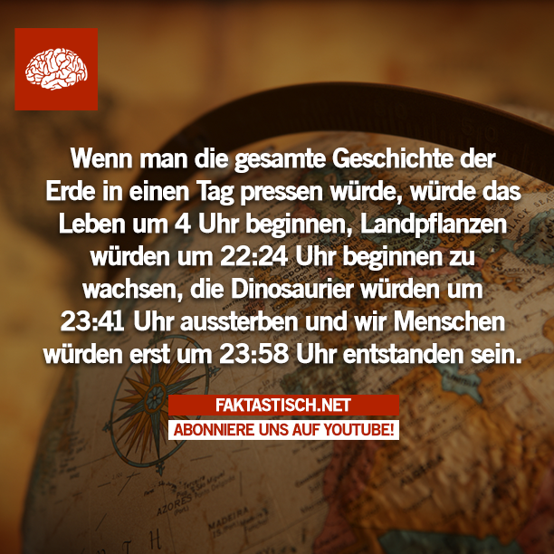 faktastisch's tweet photo. http://t.co/ykp9v4w4YS