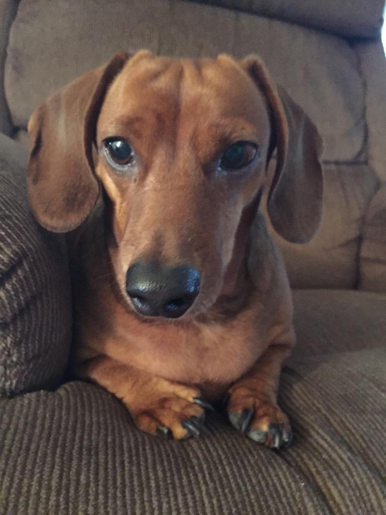 Happy Birthday from this guy: 