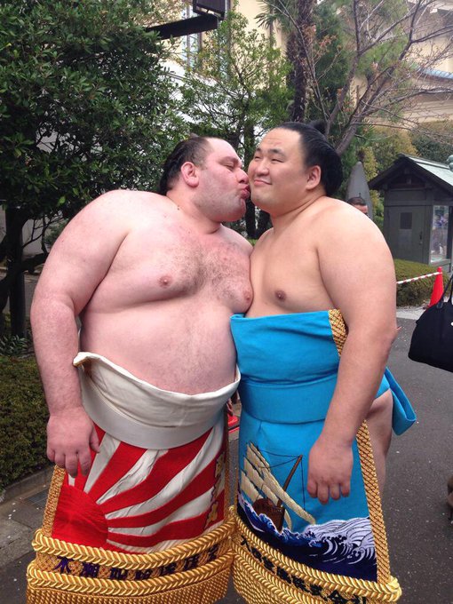 小動物 チンチラ と 力士 との比較画像がめっちゃウケるｗ Matomehub まとめハブ