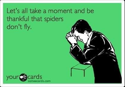ParJai's tweet photo. Spiders really don't bother me, but I can still appreciate the humor here! http://t.co/q6b2qPl808