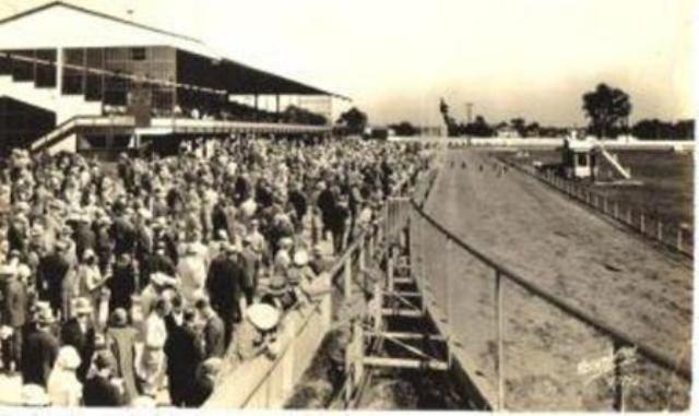 GREY2K USA, Humane Society of US call for antiquated dog racing to end

pnj.com/story/news/201…