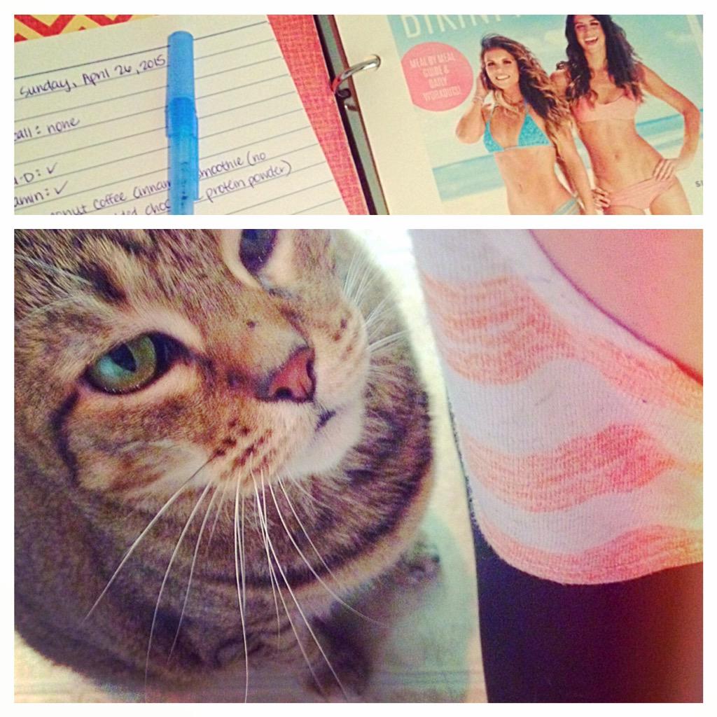 TIUmeghann's tweet photo. Intentions set, back on track, and my #accountabilitykitty is checking in on my progress! 😻 #BIKINISERIES @ToneItUp http://t.co/X8UKDF7hhH