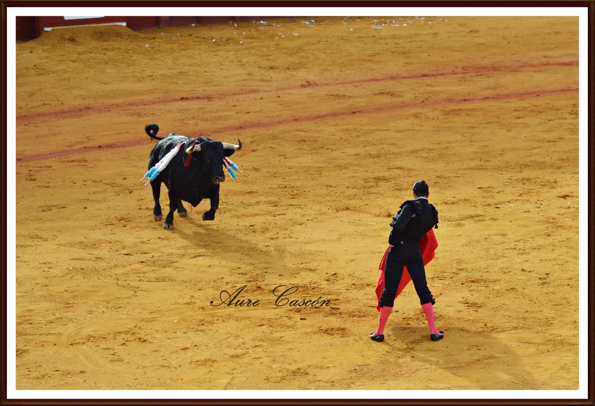auretopas's tweet photo. La tarde de @JMManzanares en #Maestranza15 del viernes no se olvida de cualquier manera @prensaJMM @AlbertoTalavera http://t.co/LVvcERdHs7