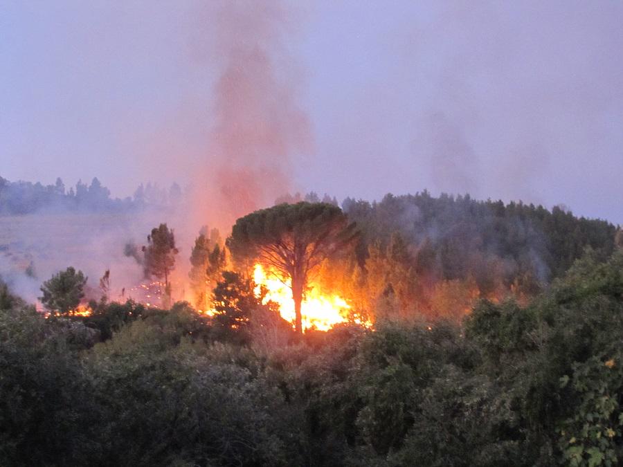 welvanpas's tweet photo. @welvanpas thankful ending of fires, blue and white route closed for now, black and yellow open http://t.co/aFFHzeeJei