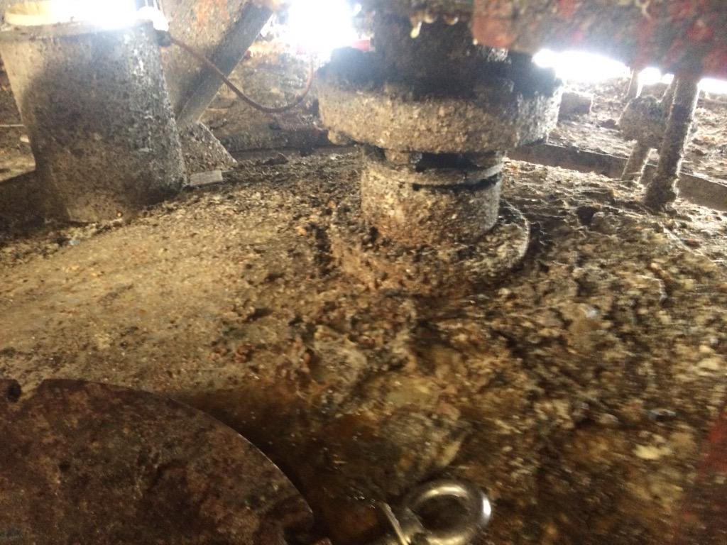 iceworkx's tweet image. Verwijdering oude lijmresten na 20 jaar #dryice #dryicecleaning #iceworkx