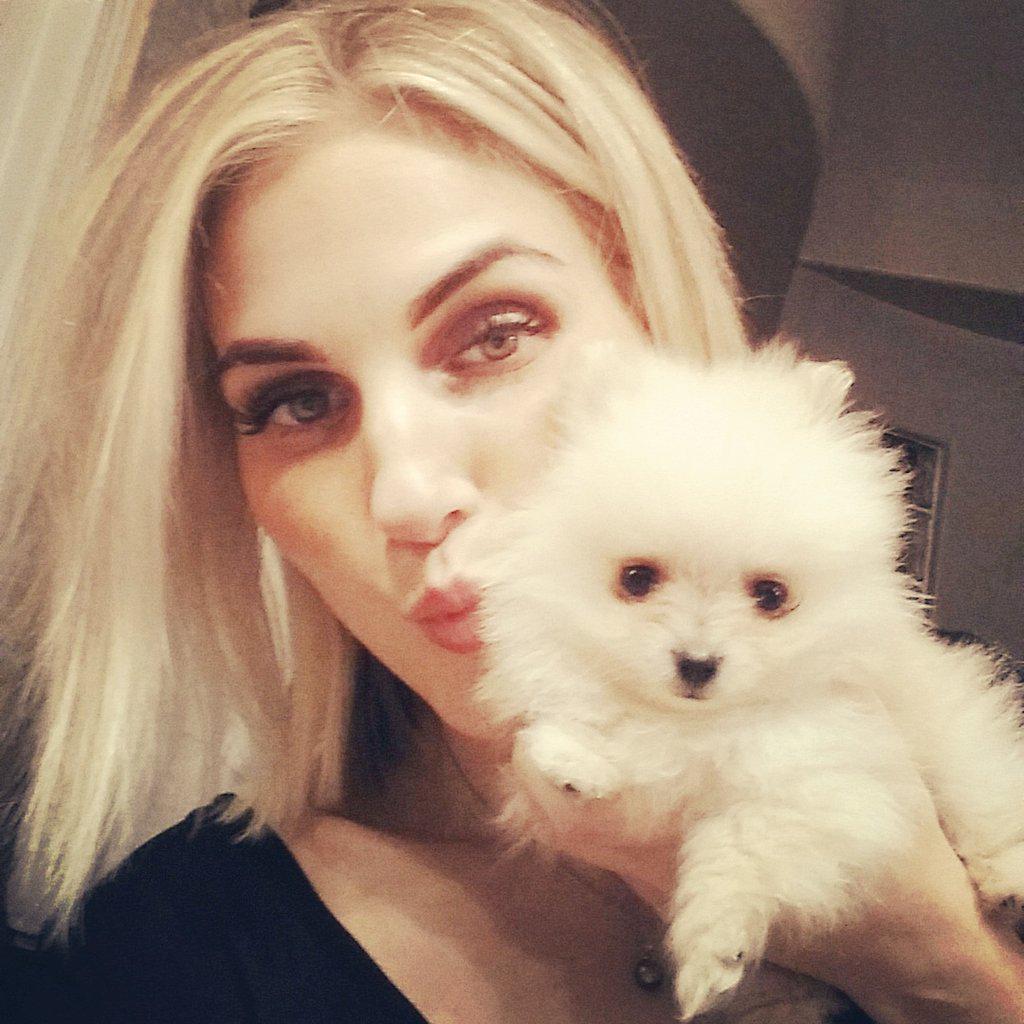 keepkurrent's tweet photo. Welcome #mimithepom to the world! I have a feeling she'll love the camera. Ull def be seeing more of her! 😍 #puffball http://t.co/EOcO3VnBhT