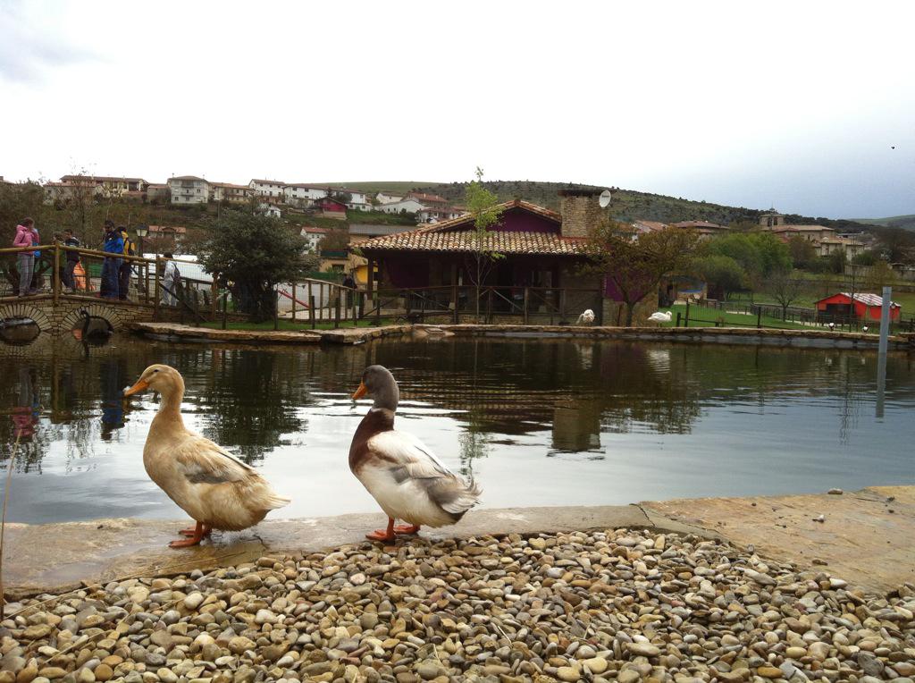 Casa Rural Erbioz tweet media