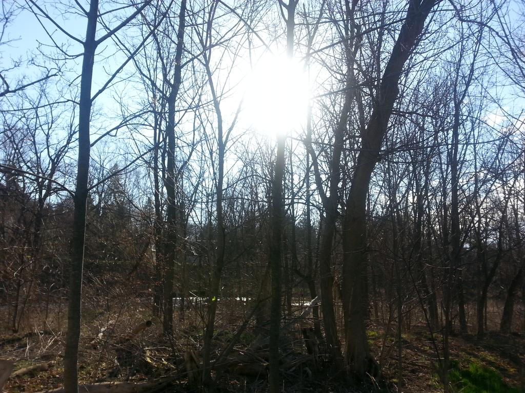 Jay Thompson tweet media