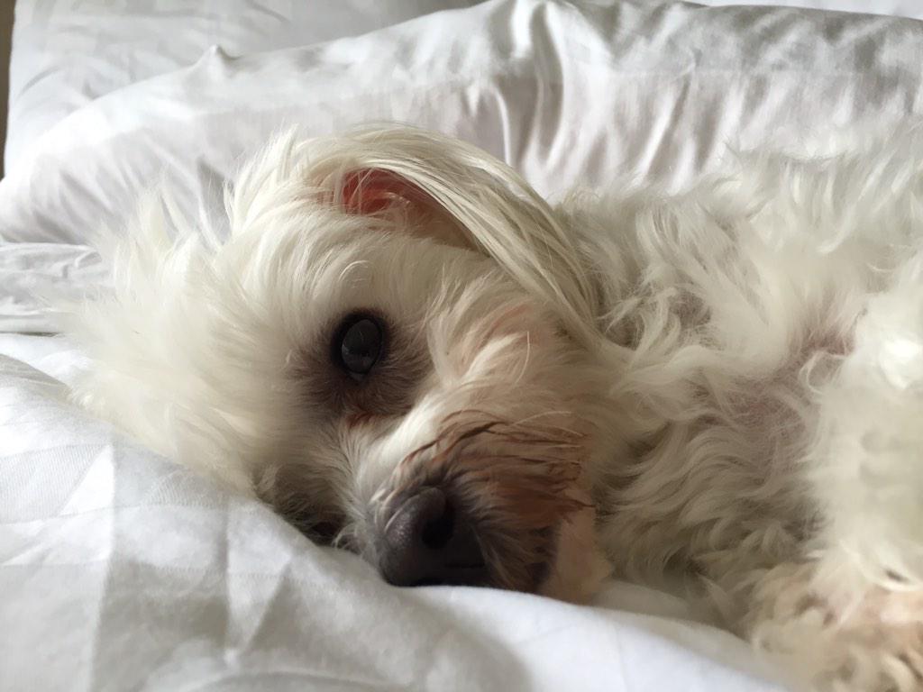 You know...I find Detroit quite relaxing!