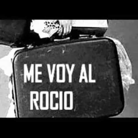 macaroas61's tweet photo. Cuenta atras!!!  #Rocio2015 #laardeanosespera #contandolosdias http://t.co/nIZFspajeD