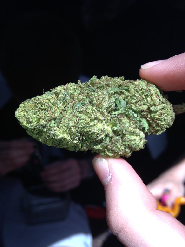 _highlogic's tweet image. 