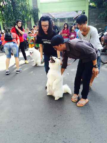 Kapan yaaa w pnya huskey montok gniii #uppsss salah focus 😅😄😂