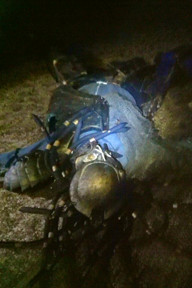 javilb23's tweet photo. @javilb23: algunas fotillos de #LaCazaDelPredator 2015 en #picon no podia hacercarme mas sin armas.. @WRG_SZ http://t.co/s3T4ytiQiS