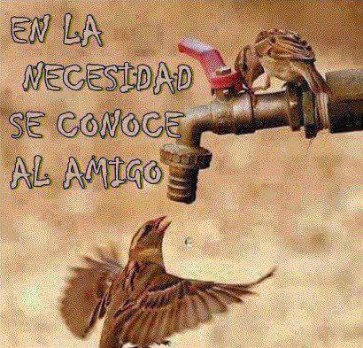 SheLautner's tweet image. #cierto..