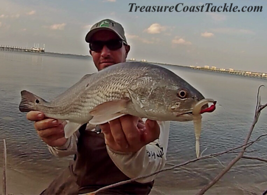 TCoastTackle's tweet photo. New weedless jigs from T&A Jigs are awesome when paired with the #monster3x #xswim!
#redfish #wading #gopro #fishing http://t.co/SYcFEyxubI