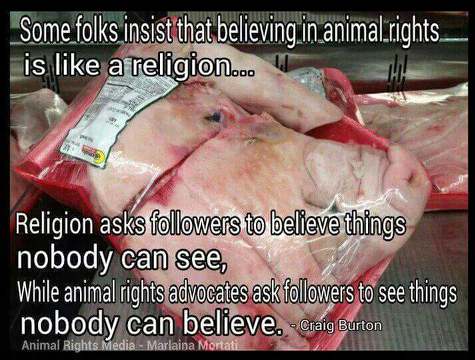 danielbert41's tweet image. 