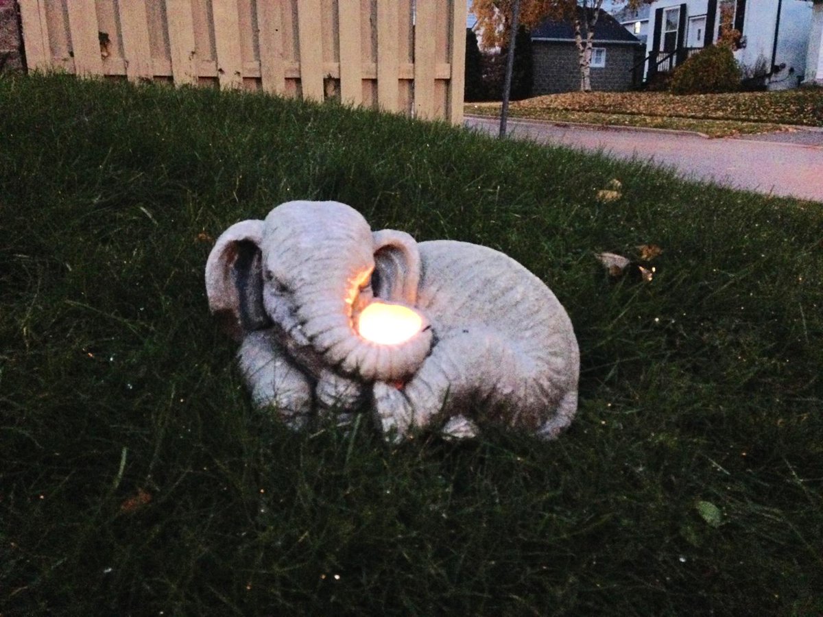 John Daniel tweet media