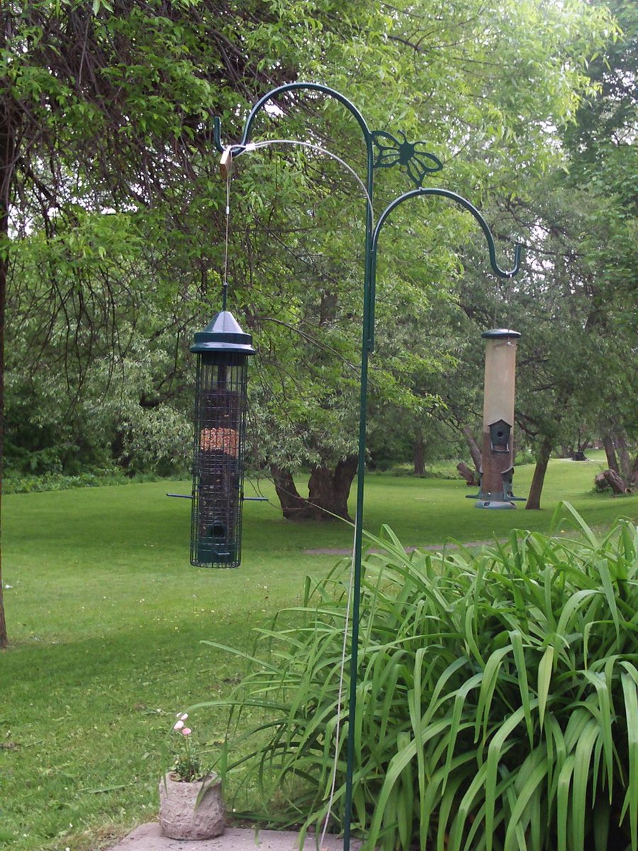 John Daniel tweet media