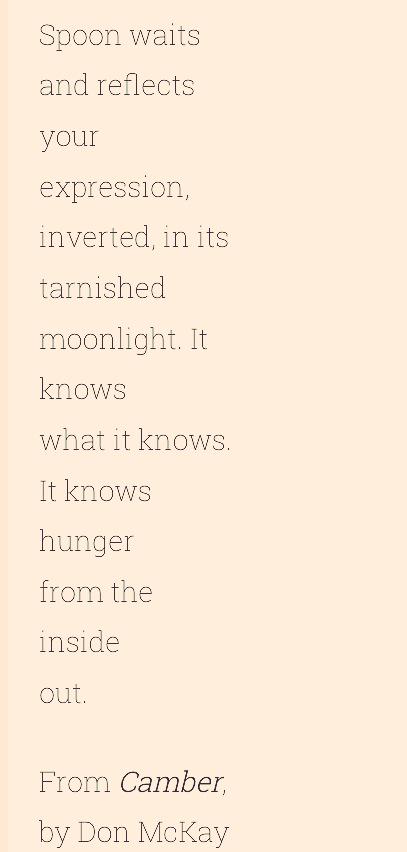 Off to the Ottawa Writer's Festival tomorrow to listen to Don McKay.  An excerpt below ...