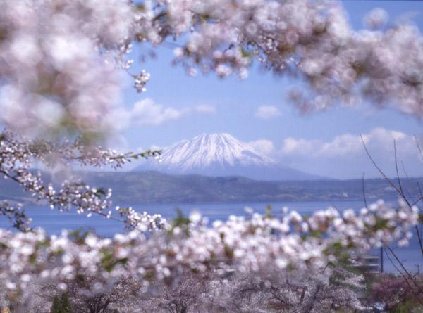 Ｂｌｏｇｇｕｅｕｒ tweet media