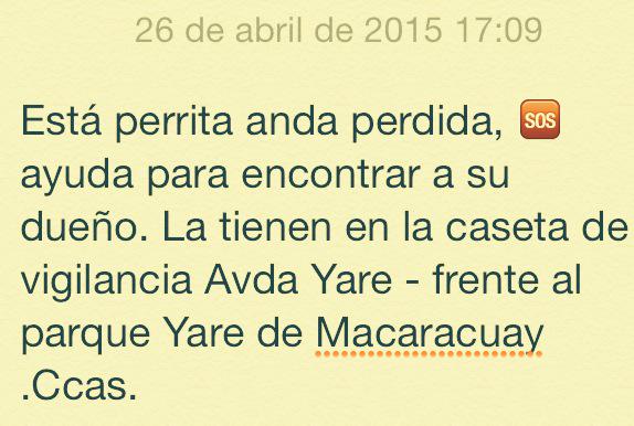 marpipeas's tweet photo. Busco a mis dueños🆘@JeanMary_ @JG_Reports @CaraInjusticia @jegf33 @R_Sardi @SalvandoPatitas @Sarcoranphus @PerrosPCcs http://t.co/YYz2JZttV8