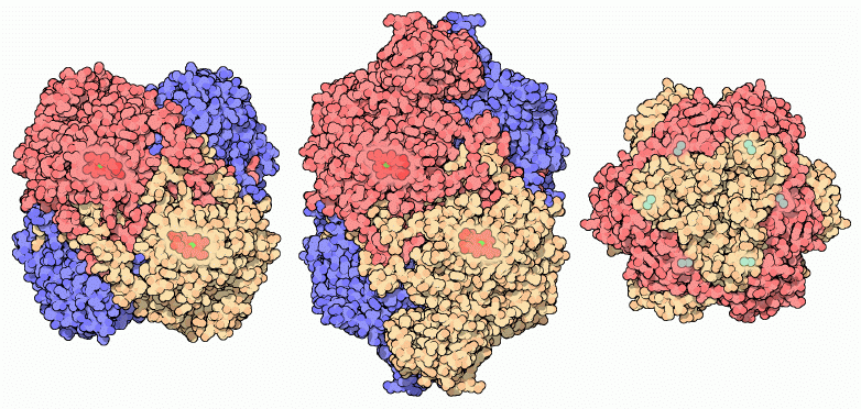 NGHScience tweet picture