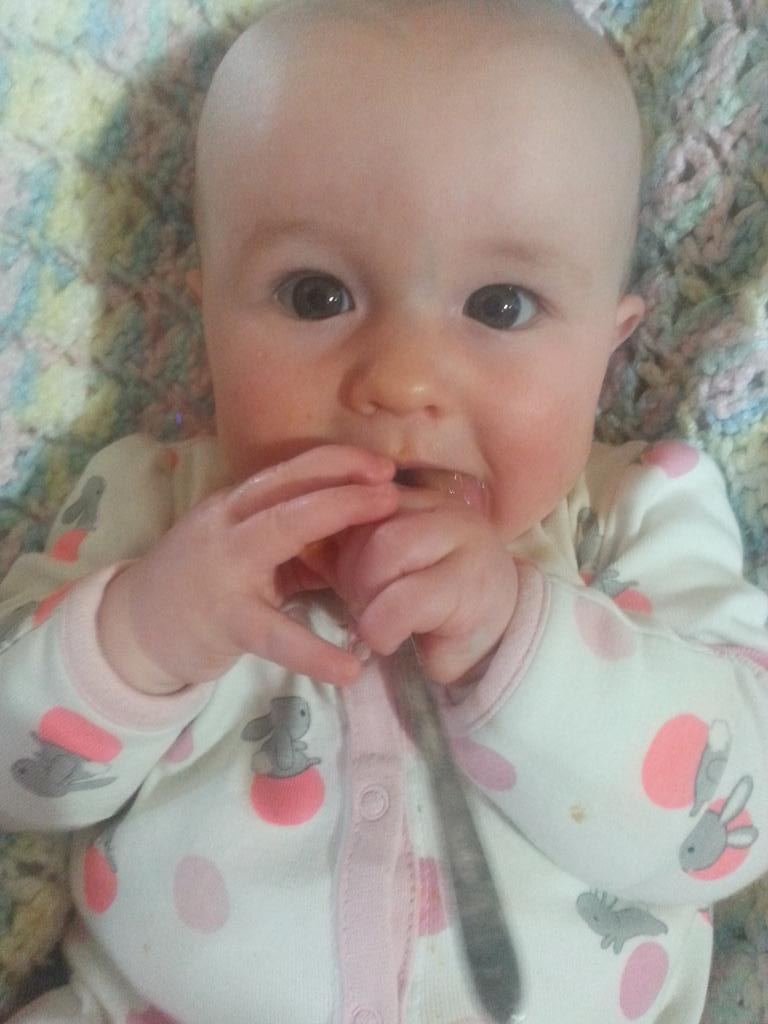 HolsingerAJ's tweet photo. Somebody loves sweet potatoes.  #doitmyself #firstveggies #loveher http://t.co/Rffvato9y0