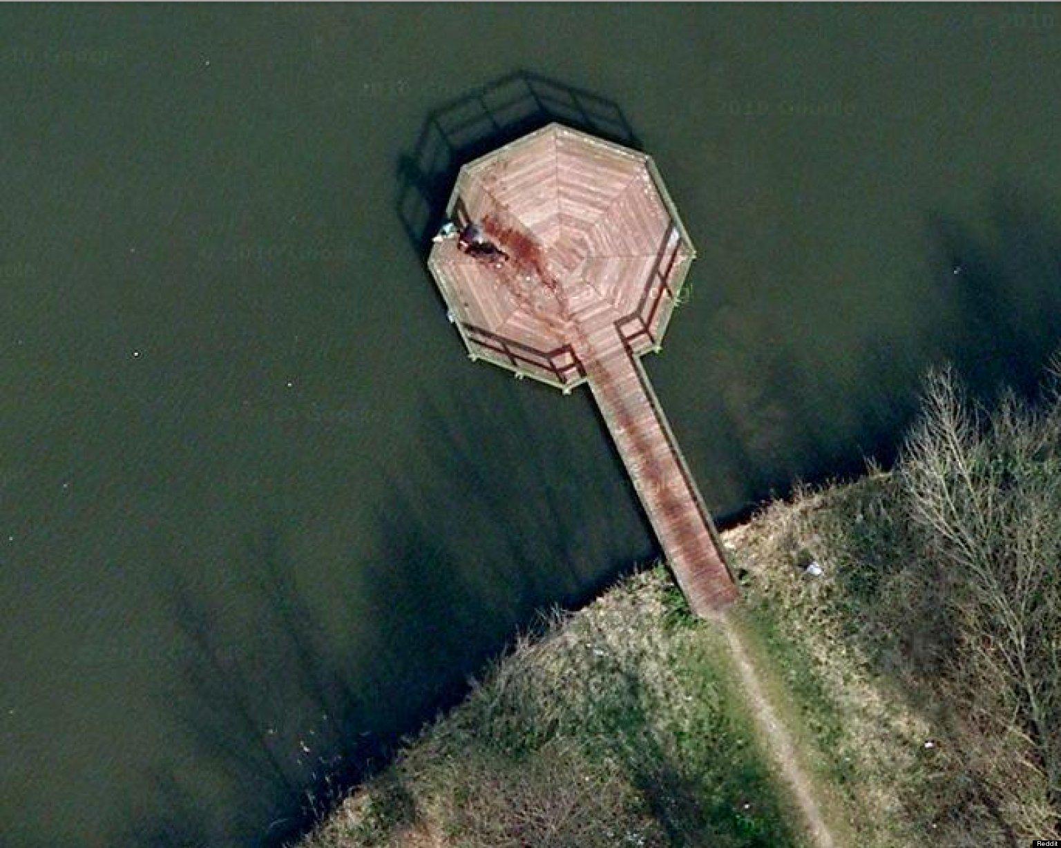 know on X: The Google Maps coordinates at 52.376552,5.198303 is not a  murder scene. It is the water trail from a dog. http:t.cot2eV2Ouw2X  X