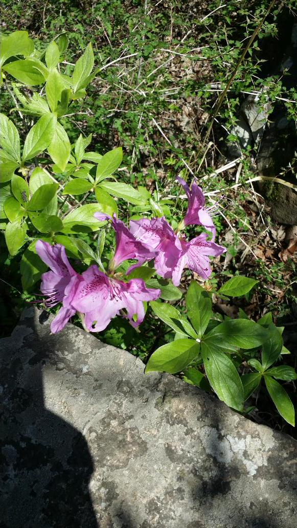 이관후 (@hanjinglobal121) on Twitter photo 