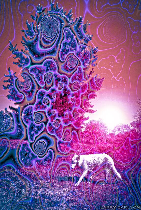 MissAltered's tweet image. 🐾