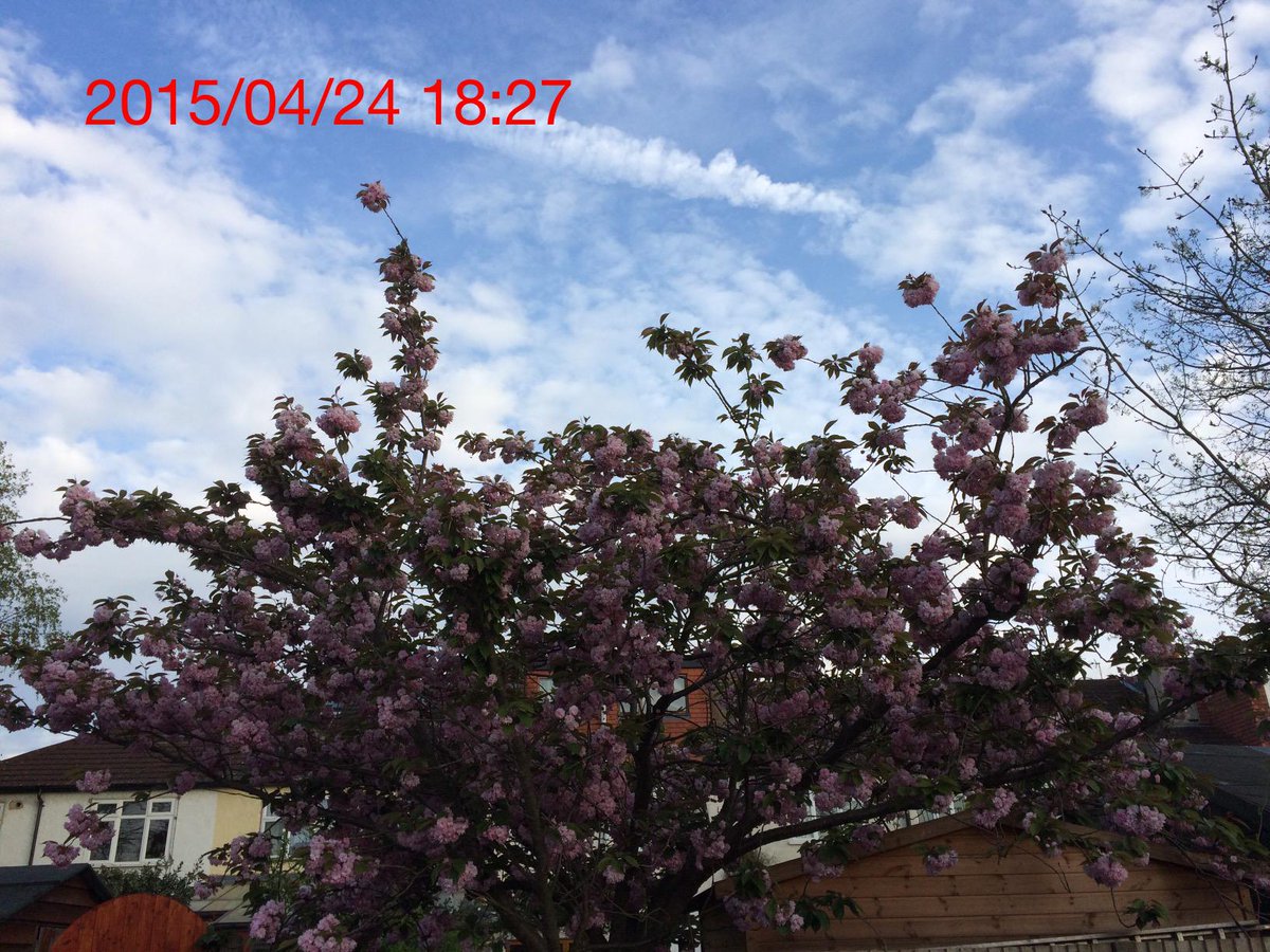 Victor Jeb tweet media