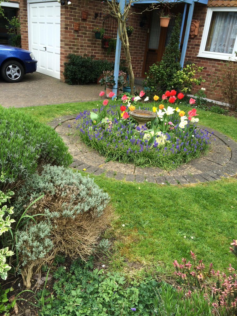 Victor Jeb tweet media