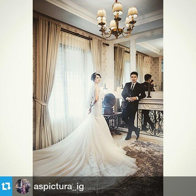 Coco Elvis (@Coco_Elvis) / Posts / X