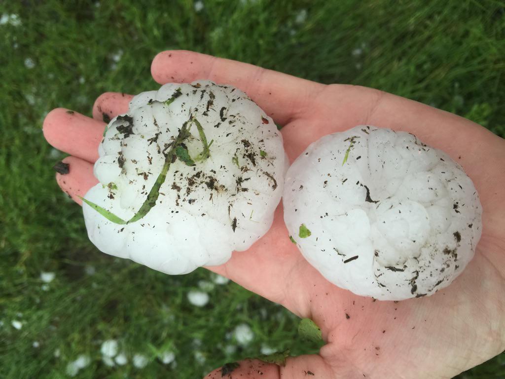 View image on Twitter View image on Twitter