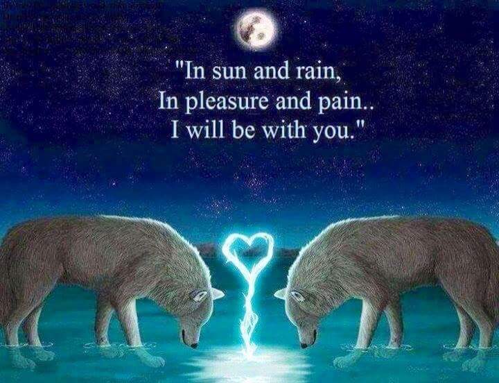 9fd8f06258ed4bc's tweet photo. @marylouisehen85 lovely Heart Thanx follow Me http://t.co/8m3Tdo5i2m