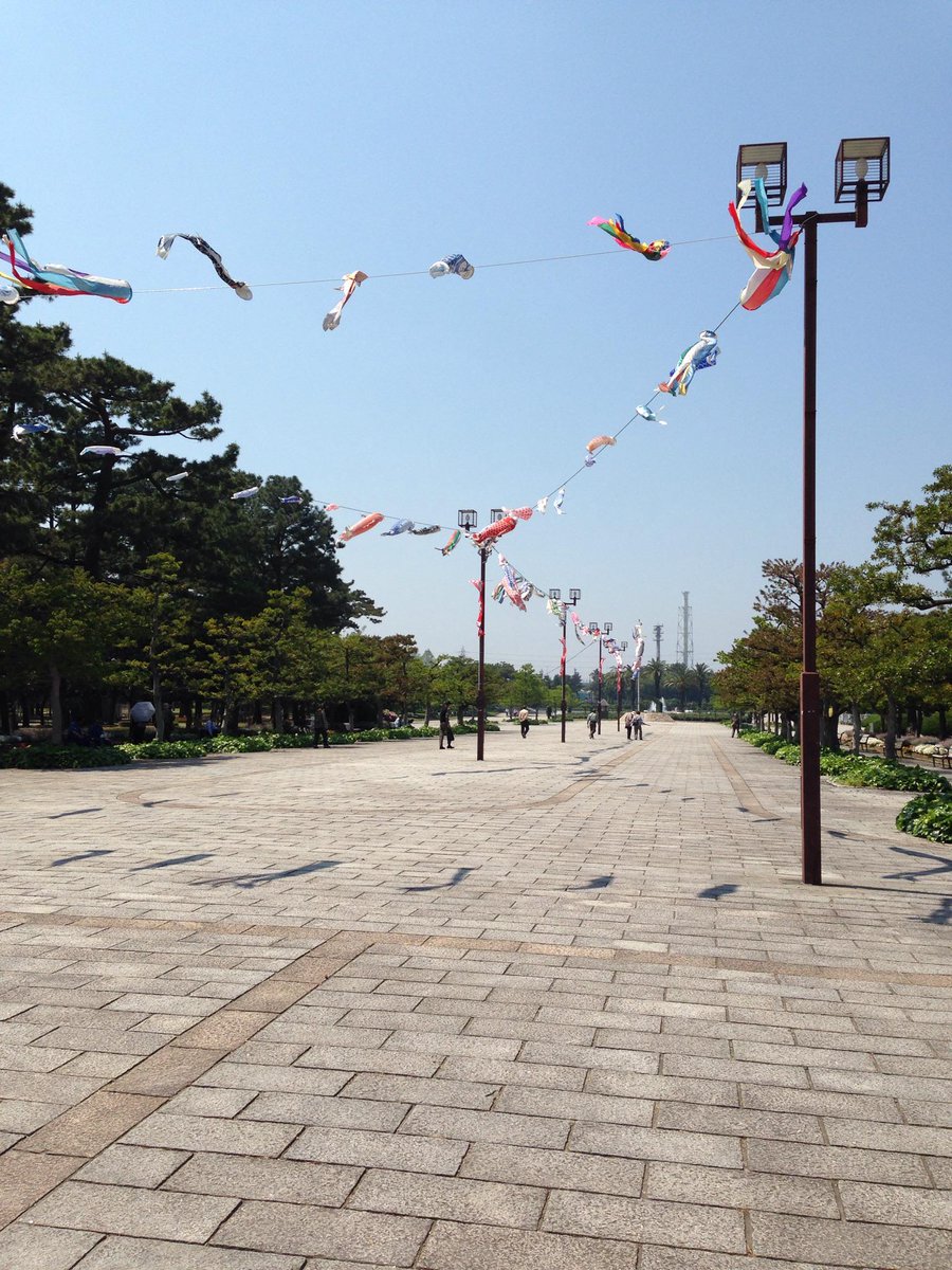osotoweb's tweet photo. 今日の浜寺公園はおそと日和！鯉のぼりもすーいすいっと泳いでます。 #osotoweb http://t.co/2xccykaXrg