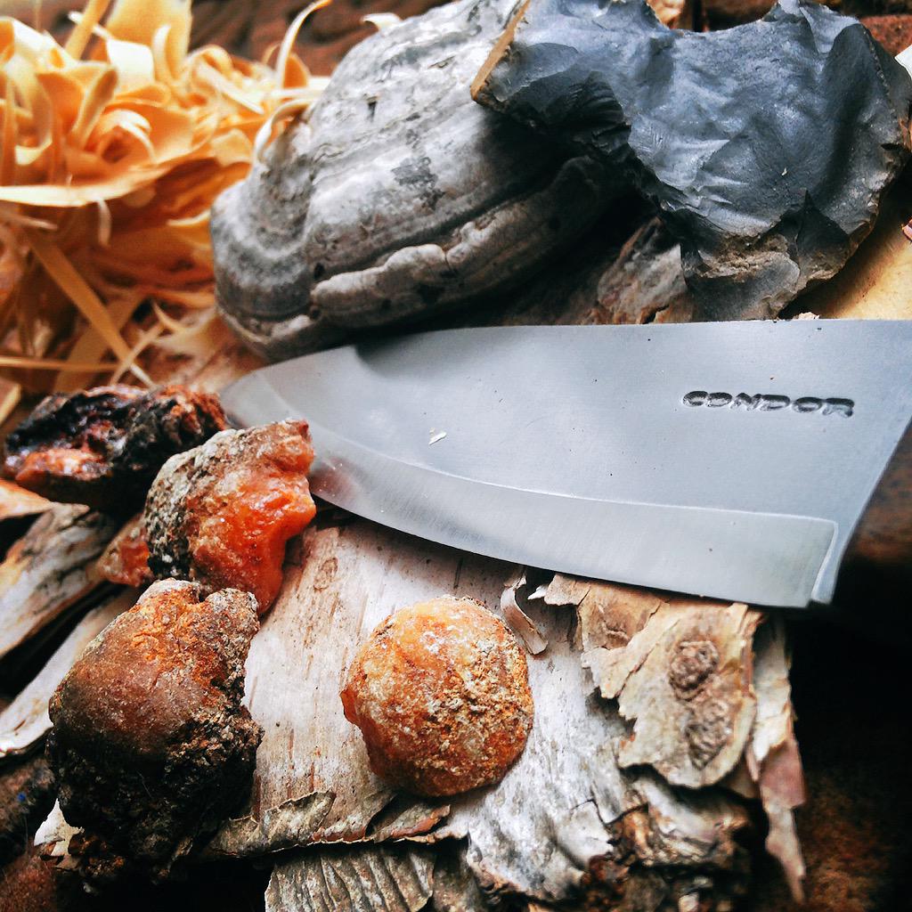 JordanLitefoot's tweet photo. more then just fire Spruce gum=glue fungi=med's flint=arrow birchbark=plate/bowl wood=shelter knife=spark #bushcraft http://t.co/eKYTHMC9GV