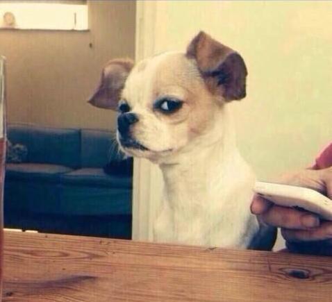 StumblerVideos's tweet photo. when someone u dont like tries to make a joke http://t.co/cGEAa1Uf8m