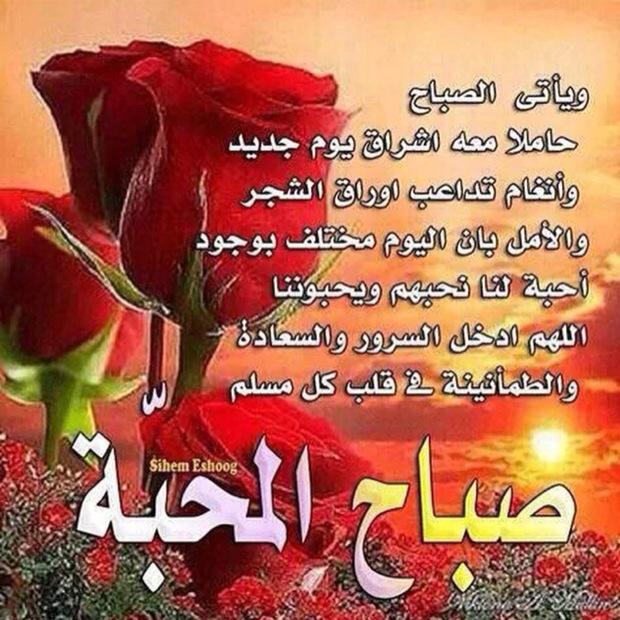 gala954's tweet photo. http://t.co/YeEcHnxOSg