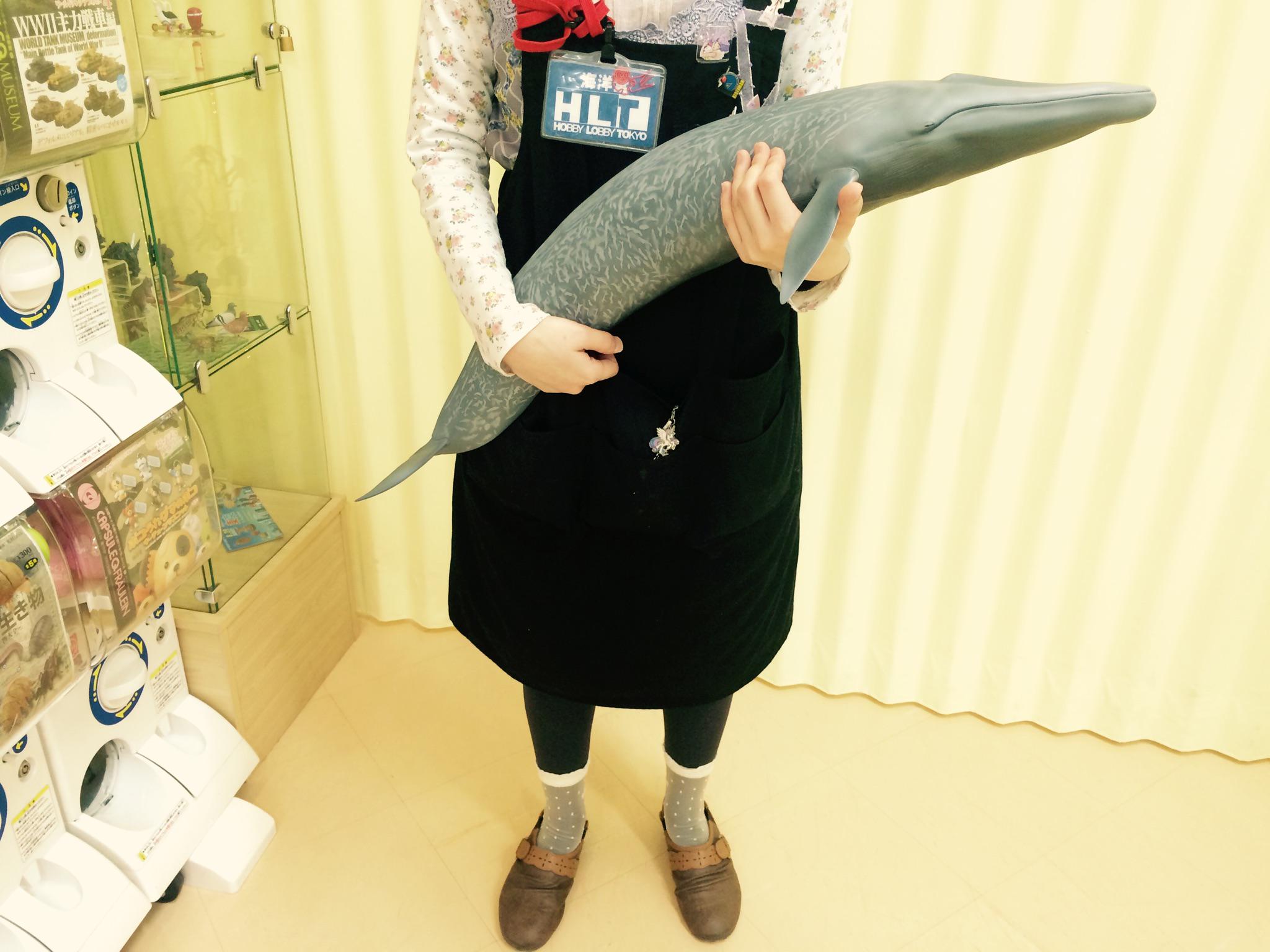 Amazon.co.jp: 絶版 海洋堂 巨大 メガソフビアドバンス MSA-04