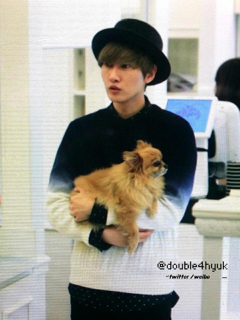 SJnELFamily's tweet photo. #RestInPeaceChoco you are in heaven now and we will always remember you💙 #PrayForChoco love you:') http://t.co/iWoPW2zL1E