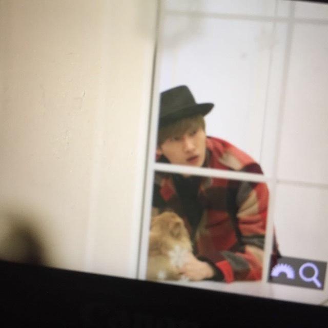 SJnELFamily's tweet photo. #RestInPeaceChoco you are in heaven now and we will always remember you💙 #PrayForChoco love you:') http://t.co/iWoPW2zL1E