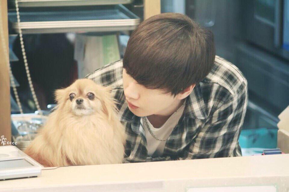 monstar_97's tweet photo. チョコちゃんさっき聞いてびっくりしたよ。
頑張ったね、ありがとう。
天国でも見守って欲しいな。
#PrayForChoco
#ThanksforChoco http://t.co/r9rwIUZq5t