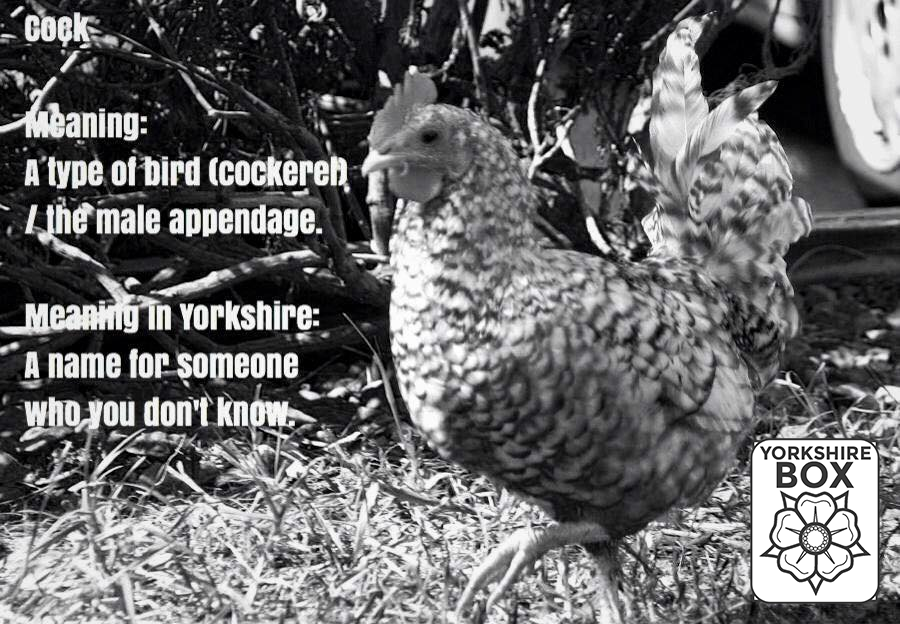 AlbarosaUK's tweet photo. What it means in yorkshire #Yorkshire http://t.co/xec9eXNvgb
