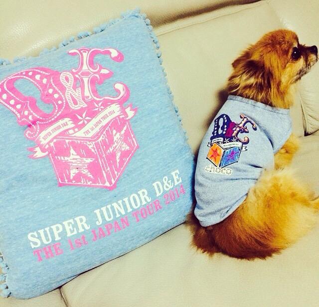 special9104's tweet photo. チョコ、お疲れ様...
よく頑張ったね、ヒョクちゃんがいるときでほんとに良かった。これからもずっと天国からヒョクちゃんのことを見守ってあげてね。ありがとう。
#PrayforChoco
#ThankuChoco http://t.co/BUYvFuAN37