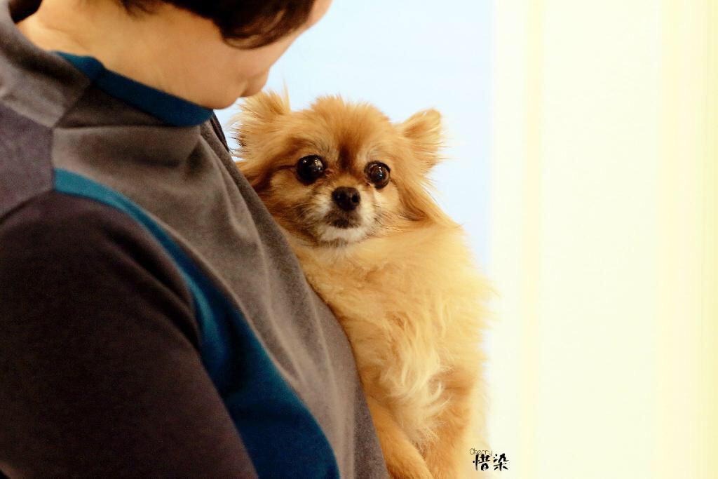 anna_ebikiraiii's tweet photo. チョコちゃんよく頑張ったね!
ずーっと前からヒョクのこと見守っててくれてありがとう!これからもずっとヒョクの、えるぷの心の中に💕
本当可愛かったチョコちゃん大好きです💕
#ThanksforChoco
#ELFlovesChoco http://t.co/P8604l1gn6