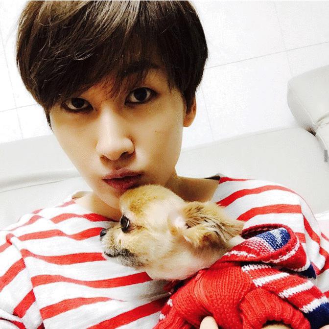 yeteuk_1106's tweet photo. #PlayForChoco 
#RIPChoco 
13歳だったのね😭ヒョクが帰って来るのを待っていたように…
ヒョクのSNSでチョコを見せてもらってたけど本当可愛かった😭天国からヒョクを見守ってあげててね👍
ご冥福お祈りいたします http://t.co/7p0eGFPXzC