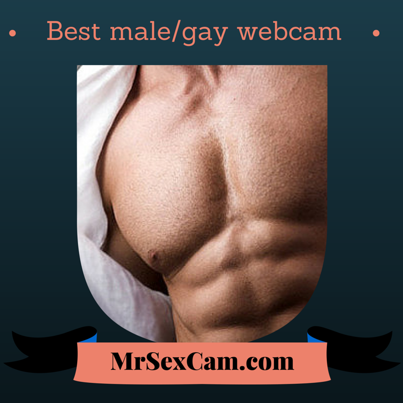 WebModelTrue tweet picture