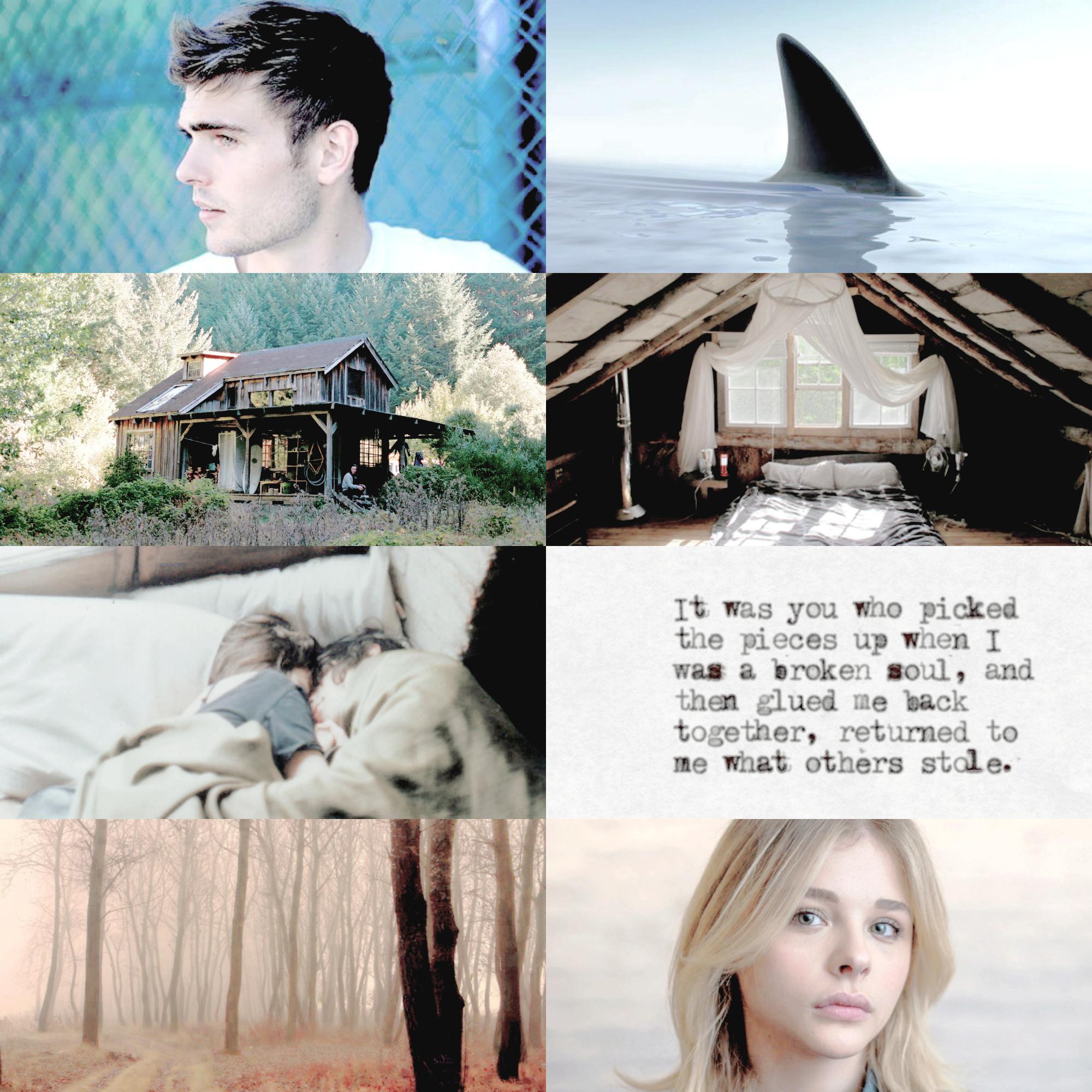 BOOK MEMES on Twitter "CASSIE SULLIVAN AND EVAN WALKER THE 5TH WAVE