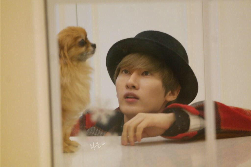 SMfamily__SJ's tweet photo. チョコちゃん亡くなってもたんや…
長い間お疲れ様😊💕
天国でヒョクちゃんとSuper Junior
を見守っていてね💟
#ThanksforChoco #ThankYouchoco http://t.co/qzS5YRytCd